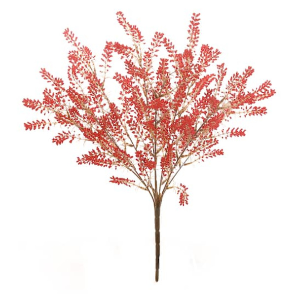 Ashland Berry Bush