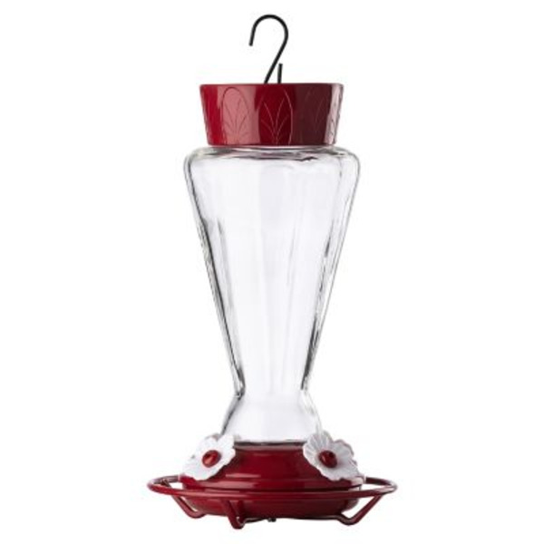 More Birds 28 oz. Royal Hummingbird Feeder