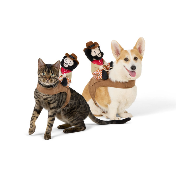 Thrills & Chills Cowboy Dog Costume, L