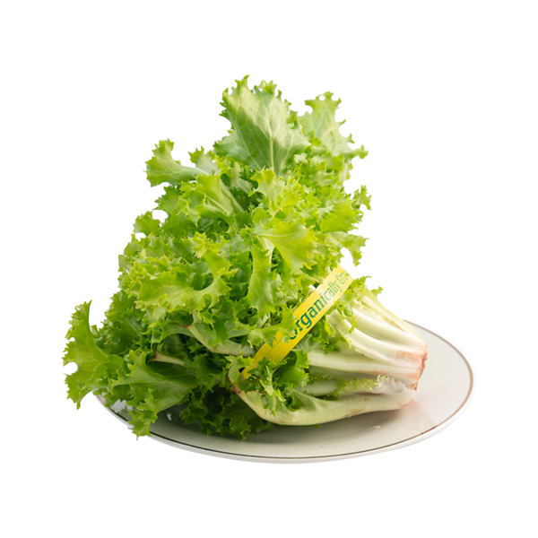 Keystone Endive Organic Curly Endive Same-Day Delivery | PCC Community Markets