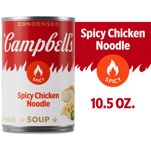Campbell's Spicy Chicken Noodle Soup