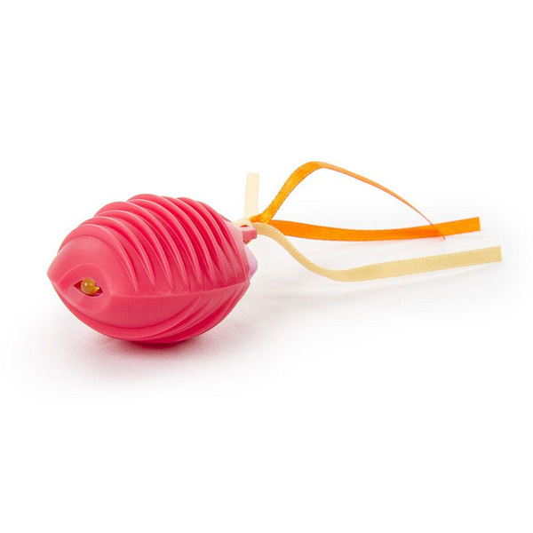 Smarty Kat Cat Toy, Crazy Cruiser