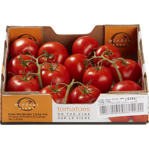 Mastronardi Produce Tomatoes On The Vine, 4 lbs Same-Day Delivery