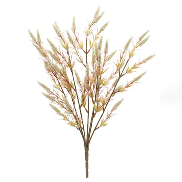 Ashland Cream Heather Berry Bush