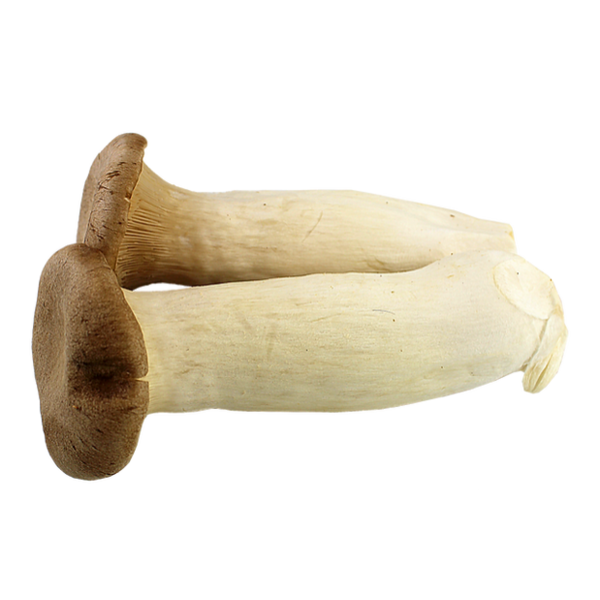 Produce - King Oyster Mushroom
