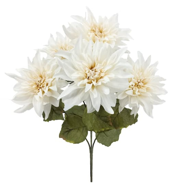 Ashland Toasted Cream Dahlia Bush