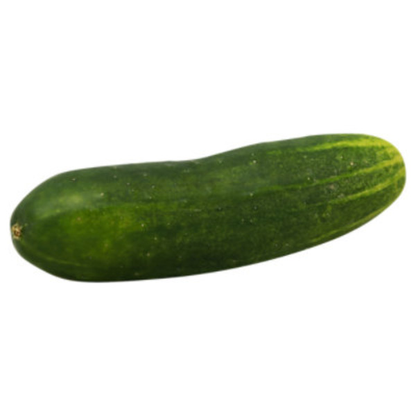 Mini Cucumber