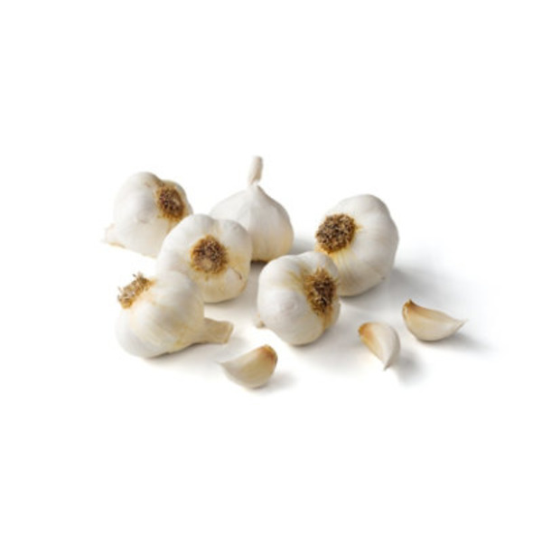 World Variety Produce Garlic