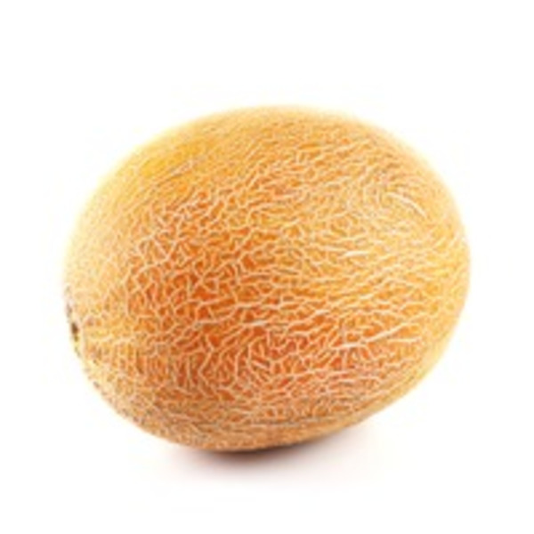 Sharlyn Melon