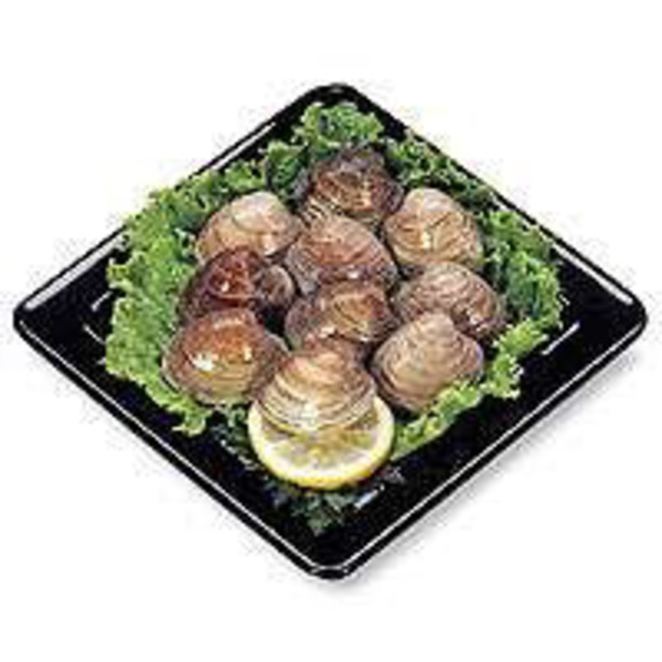 East Farmed Live Littleneck Clam