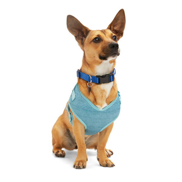 Youly Dog Pullover Harness - Teal Heather - Small