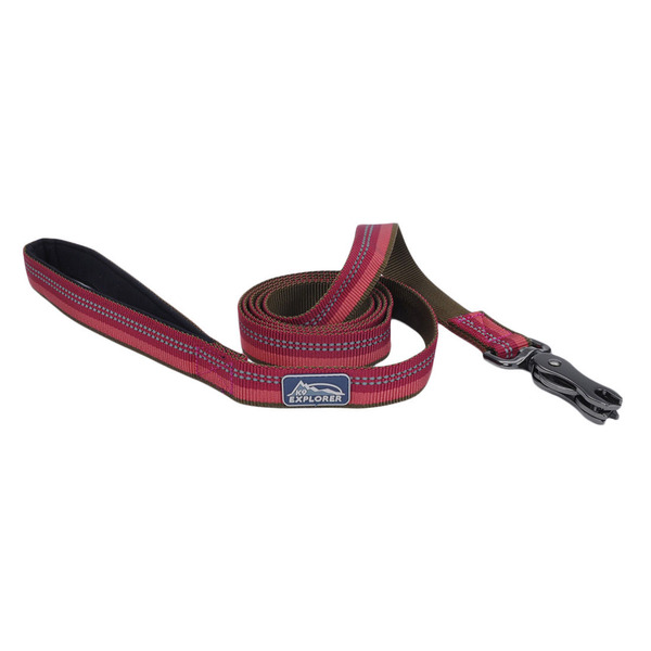 Coastal Pet K9 Explorer Reflective Dog Leash With Scissor Snap - Berry Purple - 1" x 6'