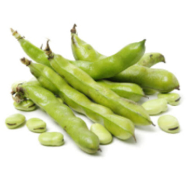 Fresh Fava Beans