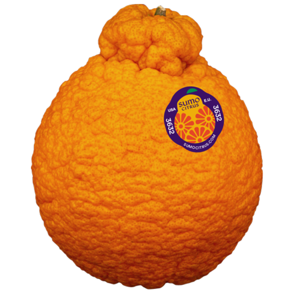 Sumo Citrus Mandarins