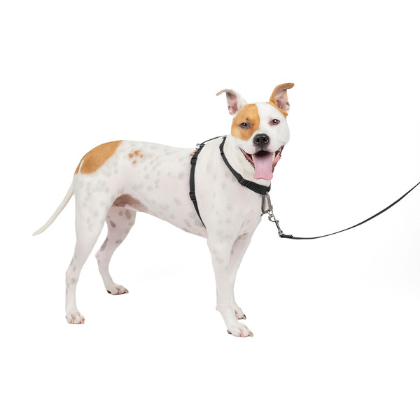 PetSafe 3 in 1 Harness, Medium, Black