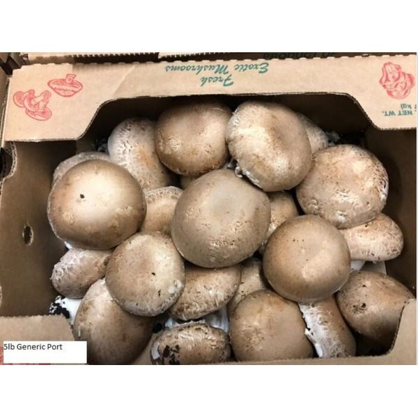 Portabella Mushrooms 5 lbs