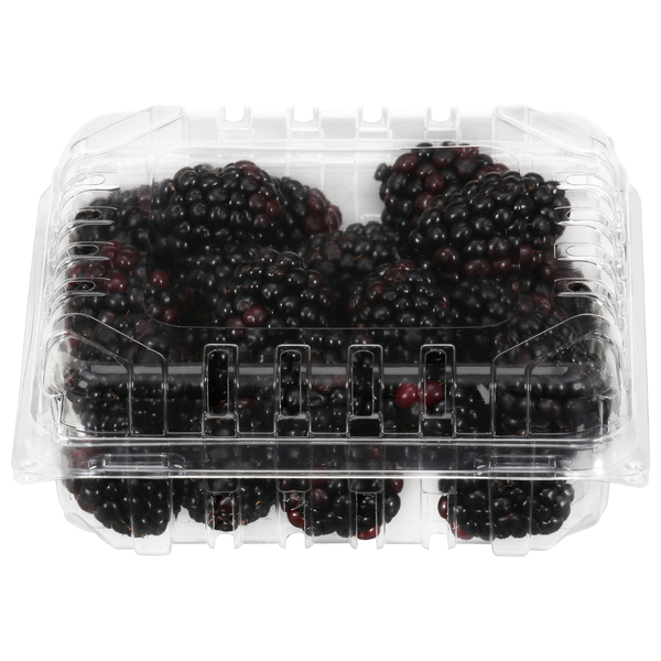 Stop Berry Stop & Shop Berry Source Blackberries, Organic Same-Day Delivery or ...