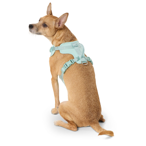 Top Paw Neoprene Comfort Dog Harness, Large - Mint