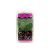 on demand fresh basil and grocery delivery or pickup in novato ca