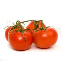 Organic Tomatoes on the Vine