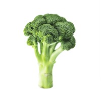 Organic Broccoli