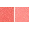 She's the Moment (soft tangerine)