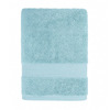 Light Aqua
