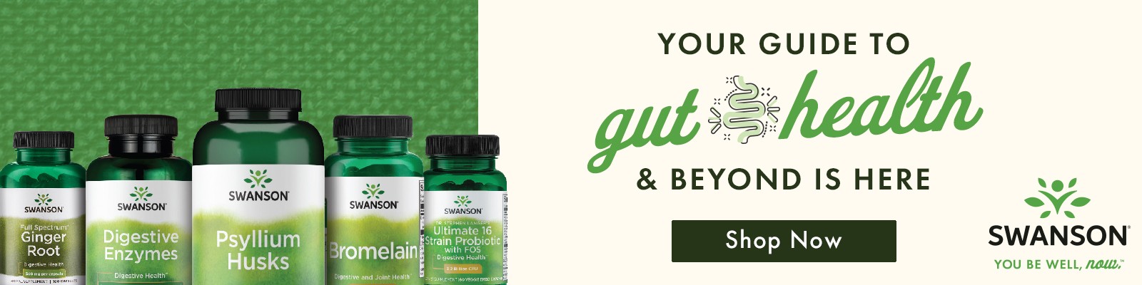 Your Guide to Gut Health