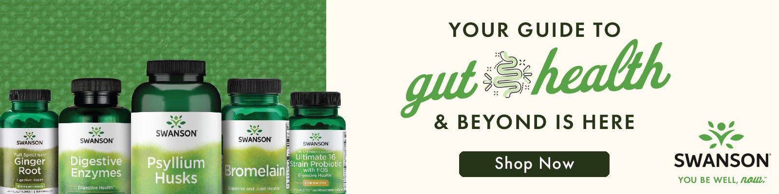 Your Guide To Gut Health