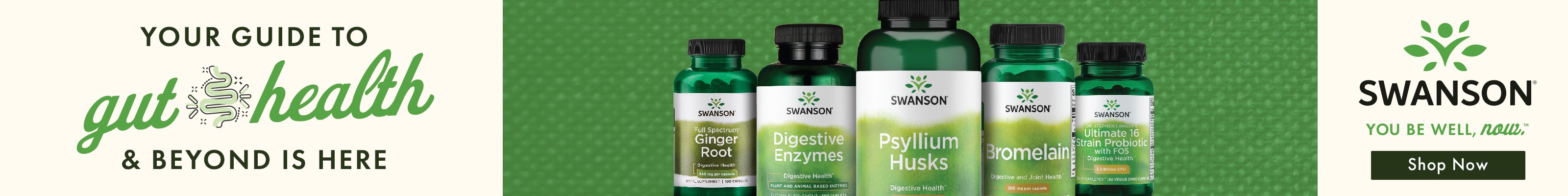 Your Guide to Gut Health