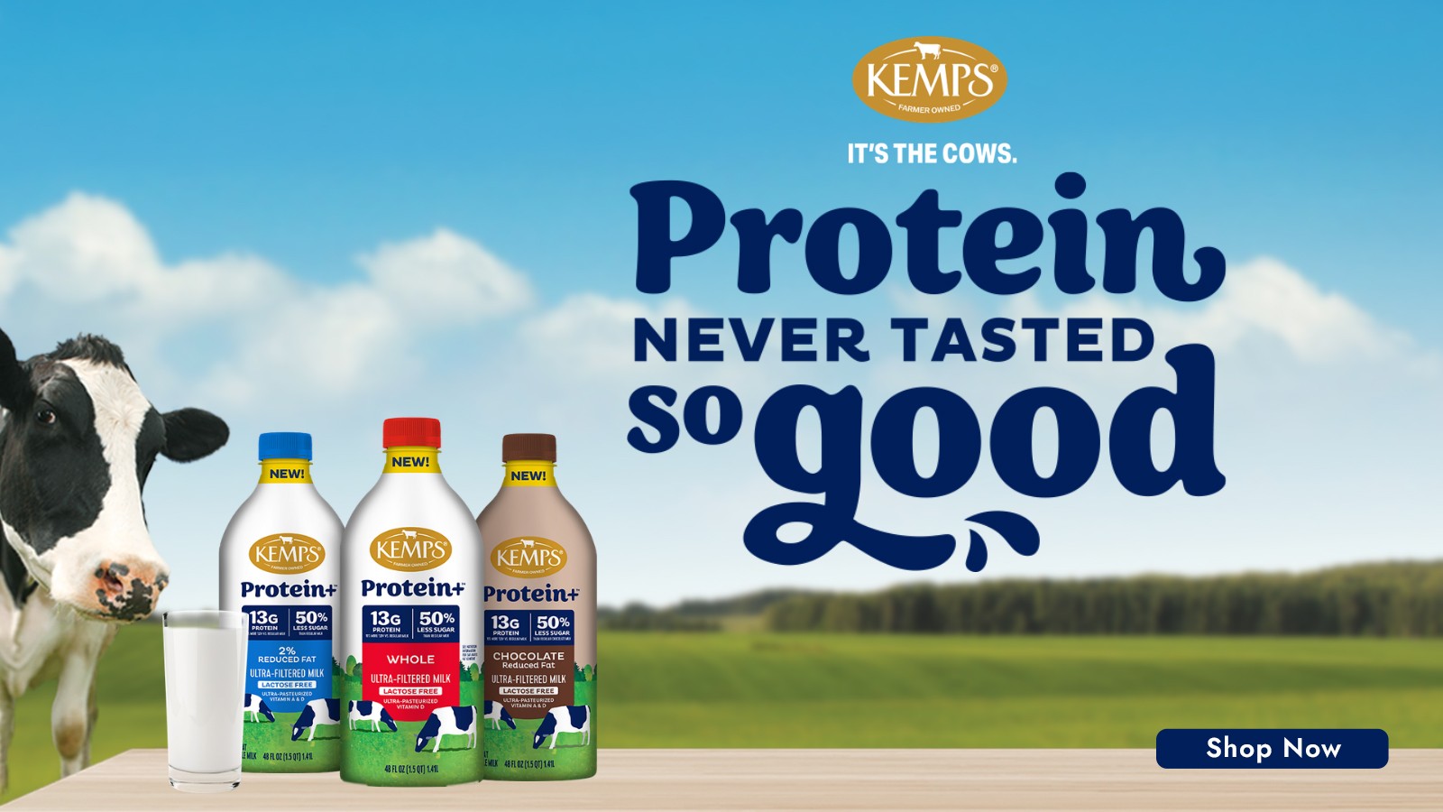 Kemps Protein
