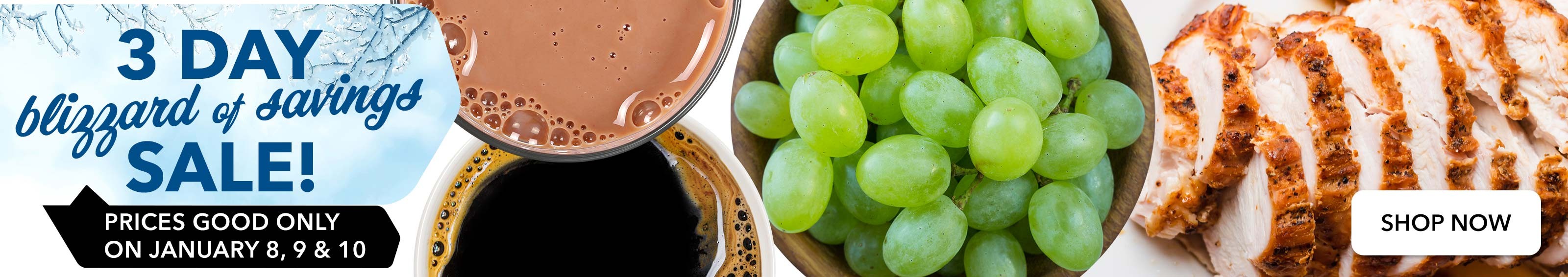 3 Day Blizzard of Savings Sale