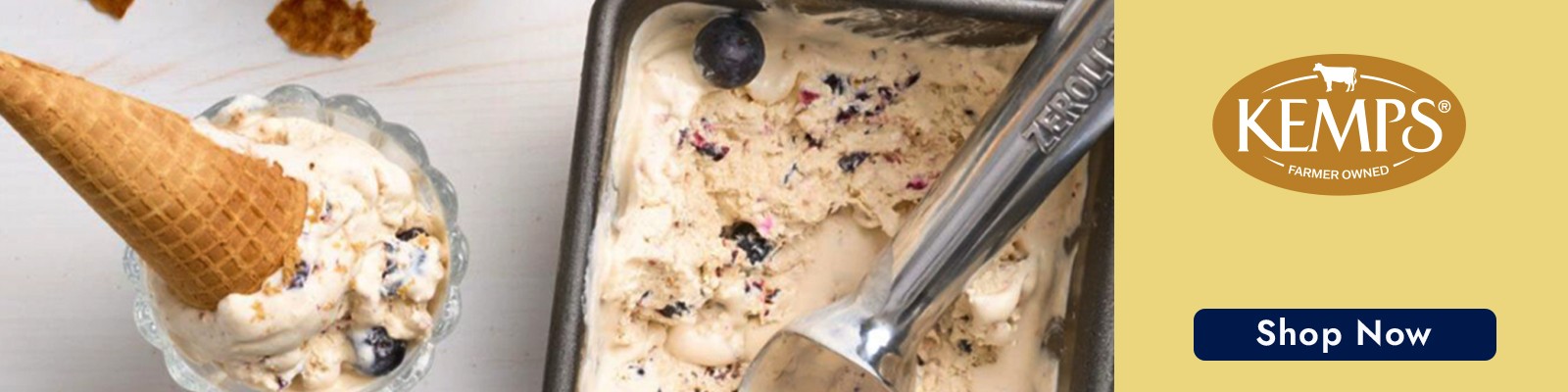 Shop Kemps Ice Cream