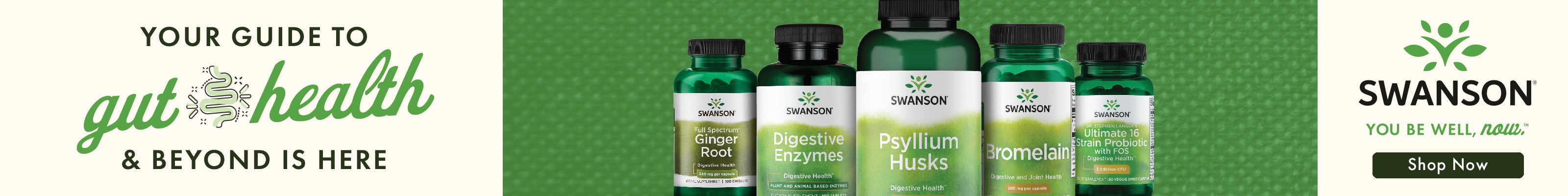 Your Guide To Gut Health