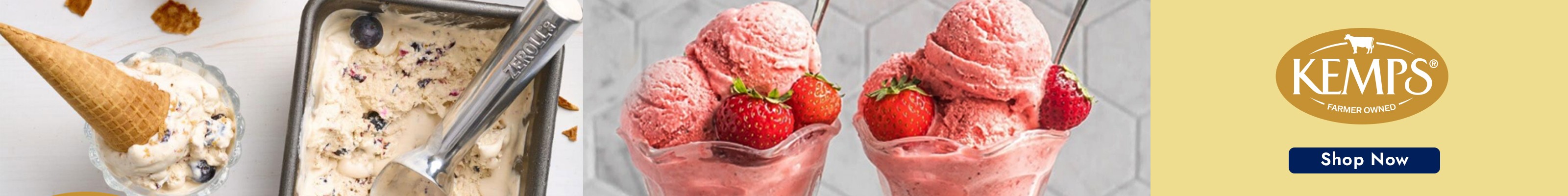 Shop Kemps Ice Cream