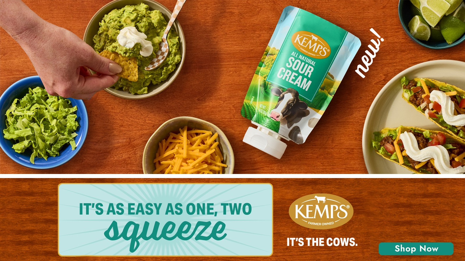 Kemps Sour cream